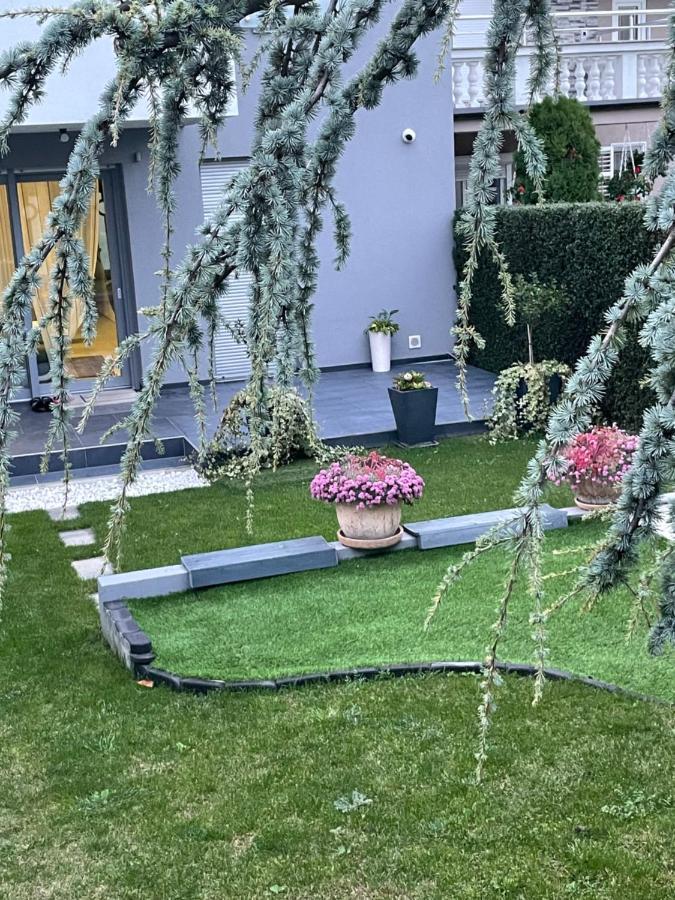 Villa Mami Zagreb Exteriör bild