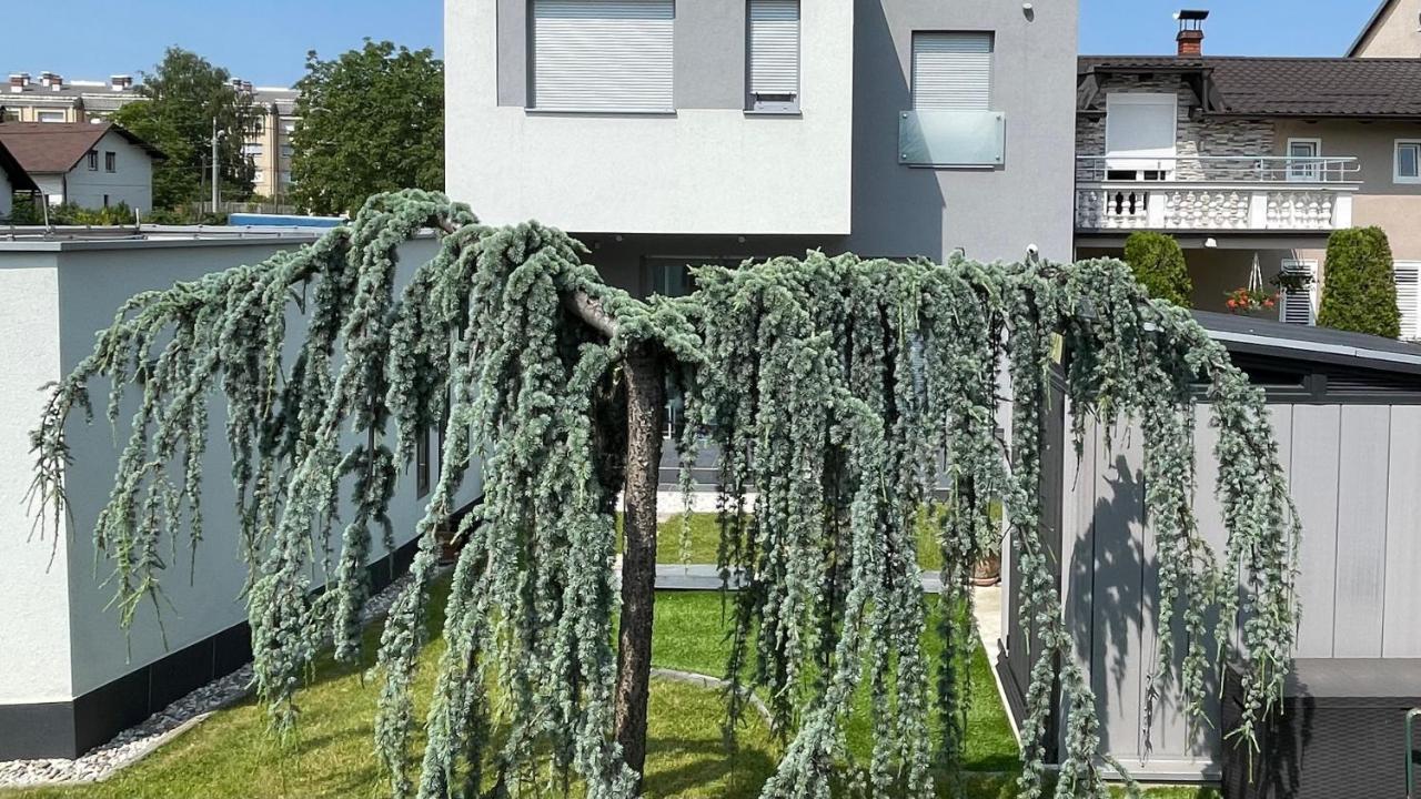 Villa Mami Zagreb Exteriör bild